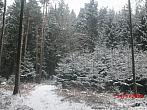 Zajíčkov